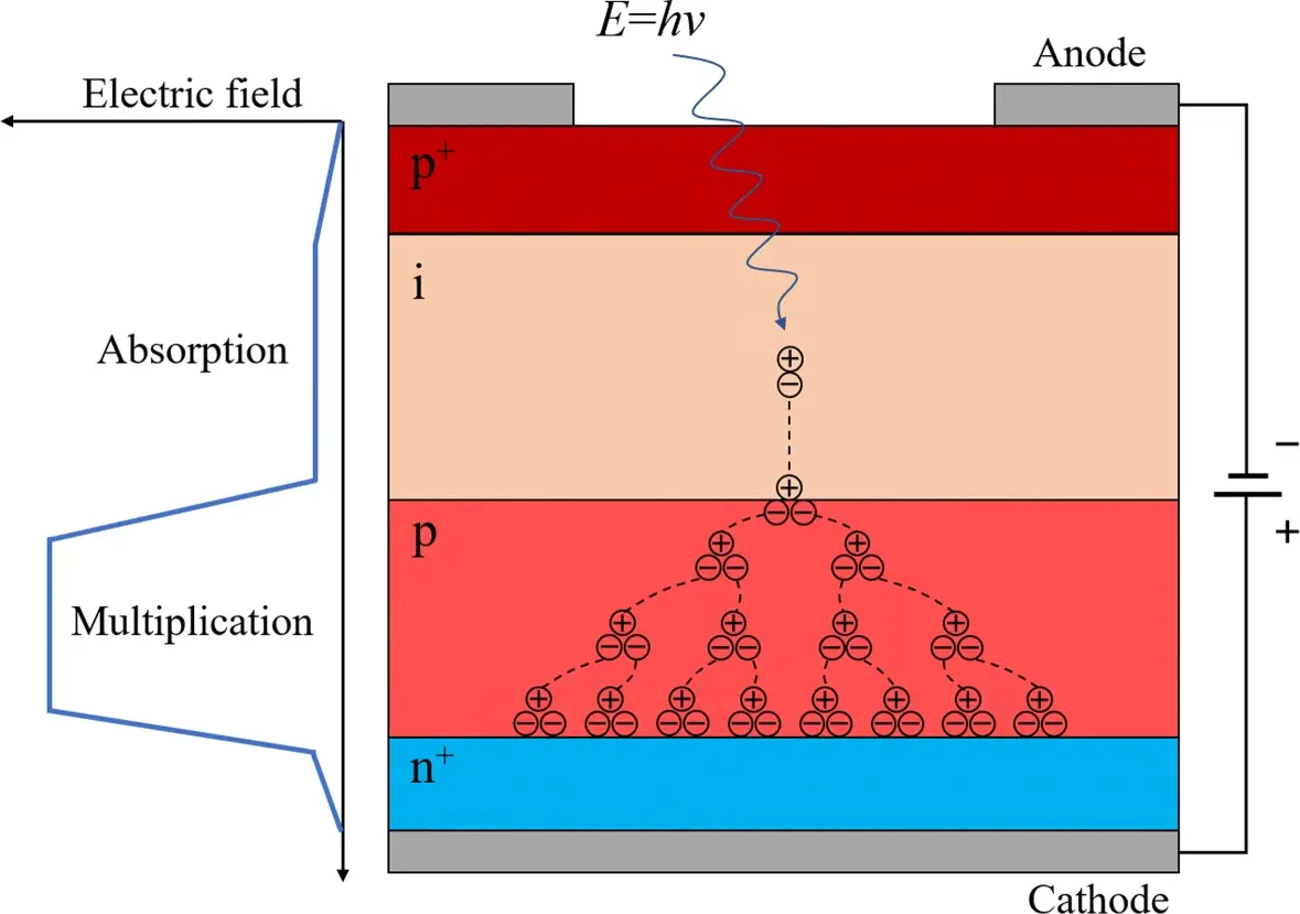 43074_2022_52_Fig1_HTML